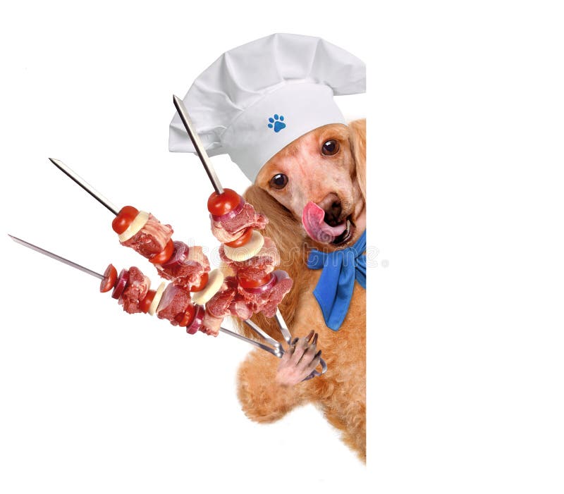 Собака шеф повар. Собака в поварском колпаке. Пес шеф повар. Собака в поварском колпаке вектор.