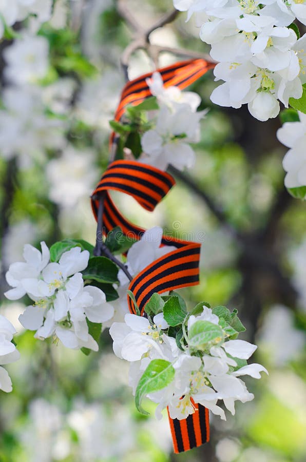 Весна день победы