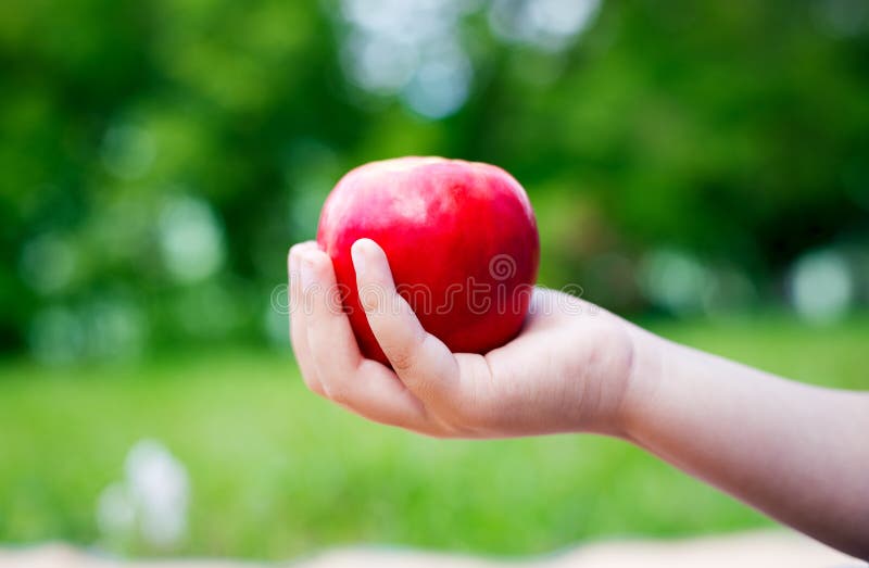 Обгрызенное яблоко как правильно. Яблоко в руке. Девушка с яблоком в руке. Яблоко в руке фото. Яблоко в одной руке.