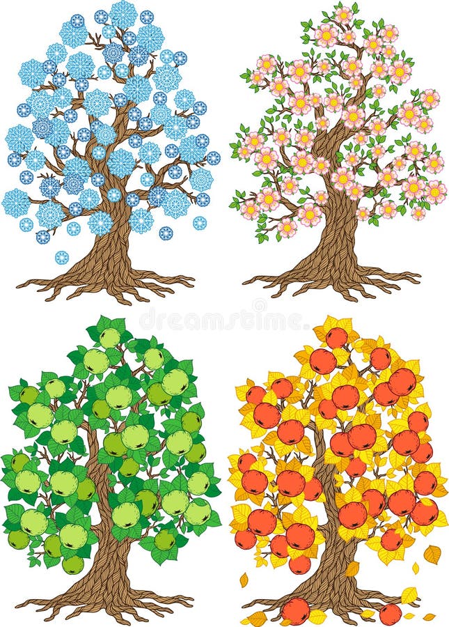 Яблоня в разные времена года. Сезонное дерево. Сезонное дерево для детей. Макет дерева по сезонам.