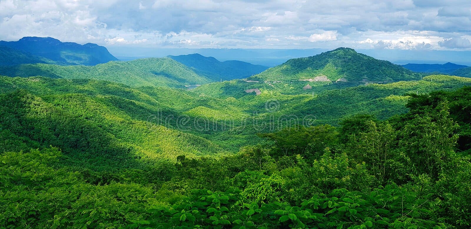 Beautiful Landscape of Mountain. Green Forest or Jungle with ...