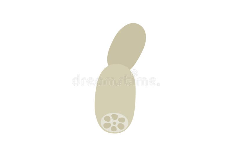 Cute Lotus Stock Illustrations 7 0 Cute Lotus Stock Illustrations Vectors Clipart Dreamstime Cute Lotus Stock Illustrations 7 0 Cute Lotus Stock Illustrations Vectors Clipart Dreamstime