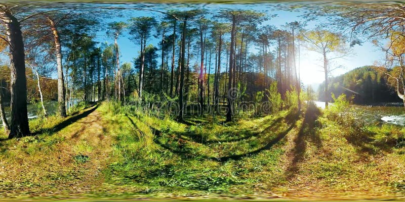 一个美好的晴朗的山森林风景的uhd 4k 360 Vr虚拟现实股票视频 视频包括有 一个美好的晴朗的山森林风景的uhd 4k 360 Vr虚拟现实股票视频 视频包括有