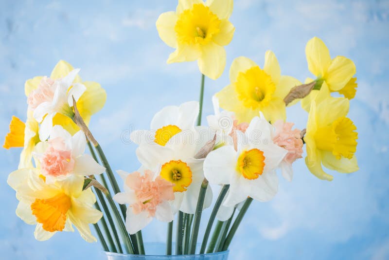 すべての花の画像 75 白水仙種類 すべての花の画像 75 白水仙種類