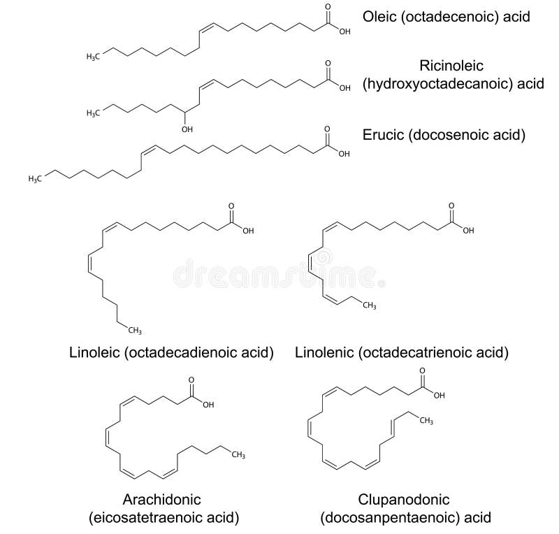 不饱和脂肪酸结构化学式向量例证 插画包括有例证 食物 肥腻 酸化 掌上型计算机 化学制品 不饱和脂肪酸结构化学式向量例证 插画包括有例证 食物 肥腻 酸化 掌上型计算机 化学制品