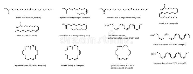 不饱和脂肪酸 设置 向量例证 插画包括有油脂 雾化器 迷恋 计算机 酸化 食物 化学制品