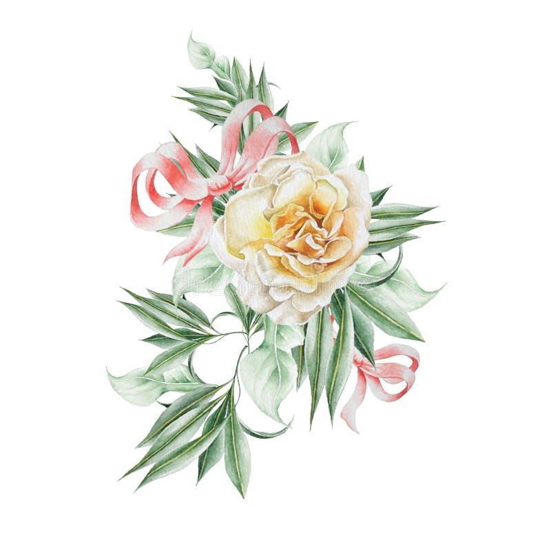 与玫瑰和叶子的水彩花束例证库存例证 插画包括有 与玫瑰和叶子的水彩花束例证库存例证 插画包括有