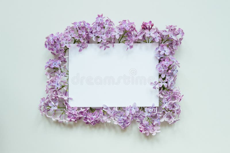 与纸板料的花背景美丽的鲜花和叶子在灰色背景 与拷贝空间库存照片 图片包括有自然 设计 与纸板料的花背景美丽的鲜花和叶子在灰色背景 与拷贝空间库存照片 图片包括有自然 设计