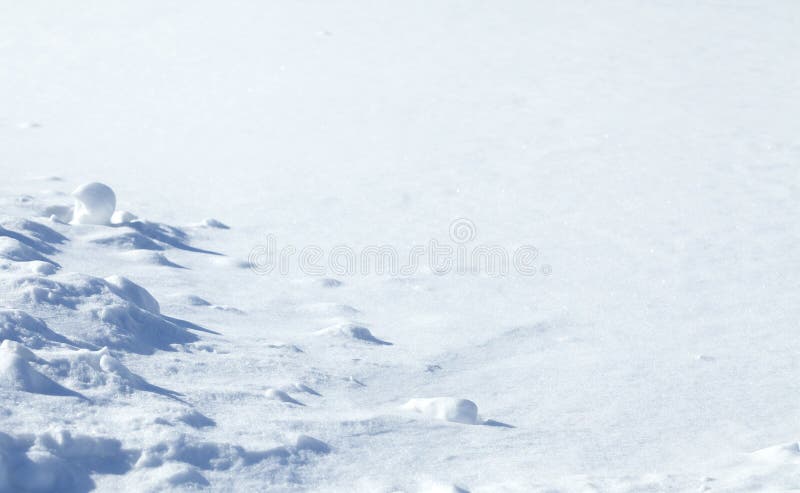 与雪的自然冬天背景雪白色背景库存图片 图片包括有