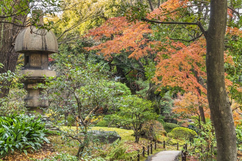 东京都公园古川日式花园的月日形石灯 秋日可以俯瞰红枫桃枝叶库存图片 图片包括有文化 地标