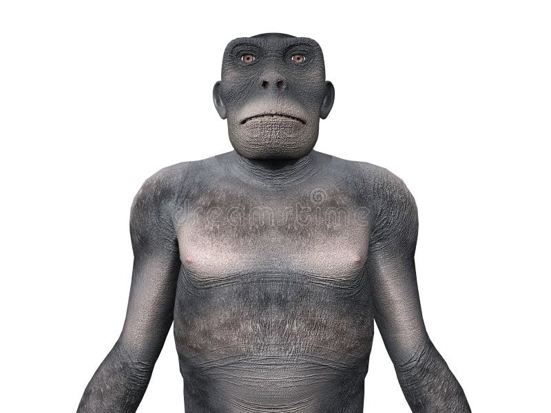 东非猿人-人类演变