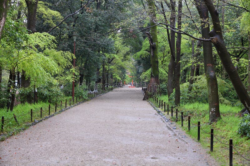 京都公园库存照片 图片包括有本质 小径 观光 日语 京都 旅游业 庭院 结构树 自然