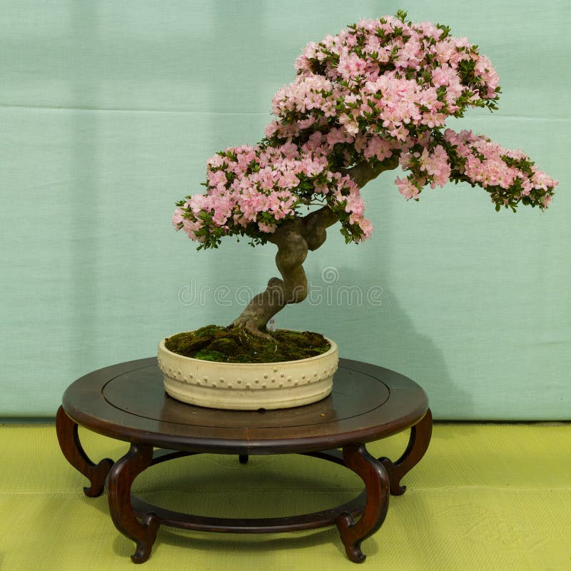 京都 日本 17年5月18日 惠比寿雕象 F的日本神编辑类库存照片 图片包括有文化 寺庙 京都 日本 17年5月18日 惠比寿雕象 F的日本神编辑类库存照片 图片包括有文化 寺庙