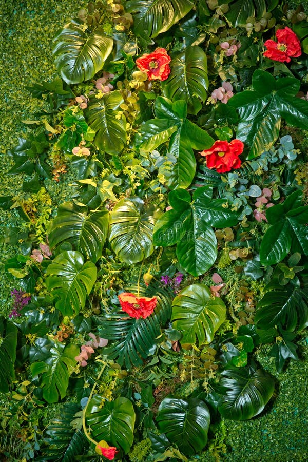人工绿色植物墙自然背景下立式园林人工植物的多样性美丽的人造装饰品库存图片 图片包括有履带牵引装置 醉汉