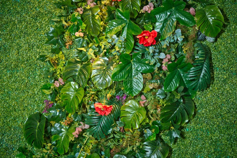 人工绿色植物墙自然背景下立式园林人工植物的多样性美丽的人造装饰品库存图片 图片包括有履带牵引装置 醉汉