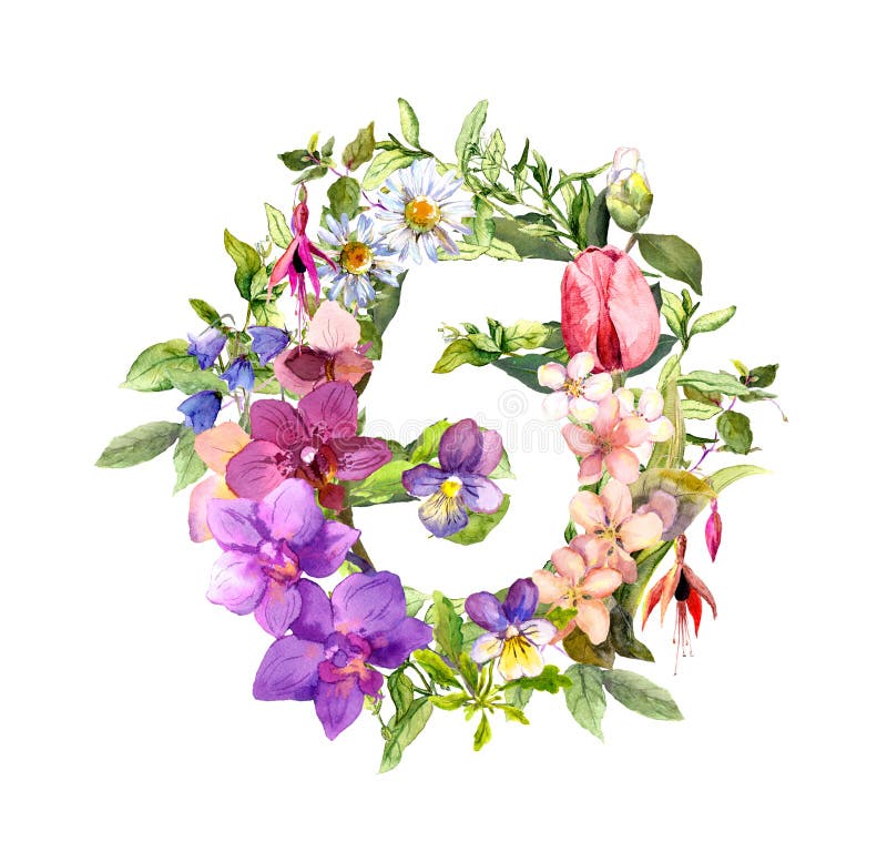 从花和草本的花卉数字5 五水彩库存例证 插画包括有花卉 现有量 艺术 图象 计数 郁金香