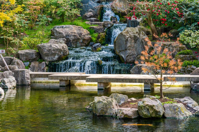 京都花园瀑布库存照片 图片包括有旅行 放松 午夜 公园 庭院 平安 秋天 欧洲 荷兰