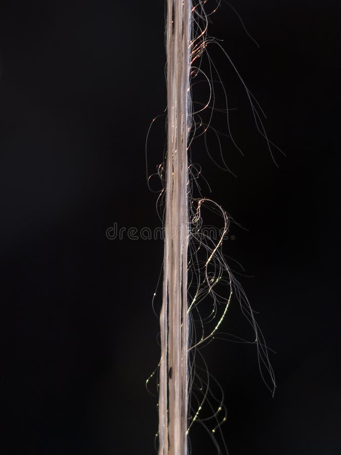 系住与在黑暗的背景的绒毛特写镜头库存照片 图片包括有划船 格朗基 部分 循环 水平 绳索 系住与在黑暗的背景的绒毛特写镜头库存照片 图片包括有划船 格朗基 部分 循环 水平 绳索