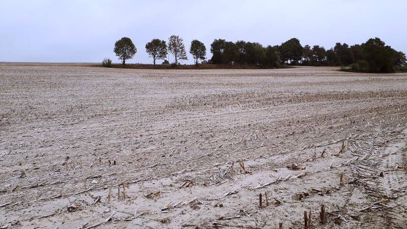 倾向于有机和生态农业使用作为肥料的未加工的石灰在耕种库存图片 图片包括有使用 自治权 肥料