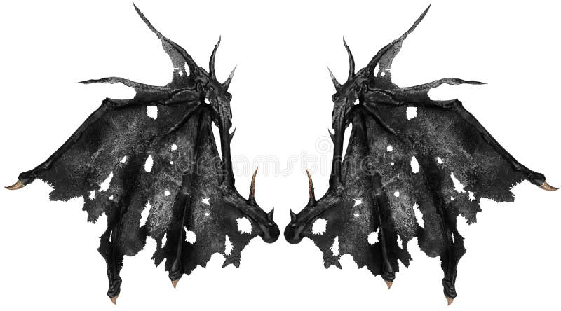 Dragon Wings 库存图片 图片包括有wings Dragon 74291559