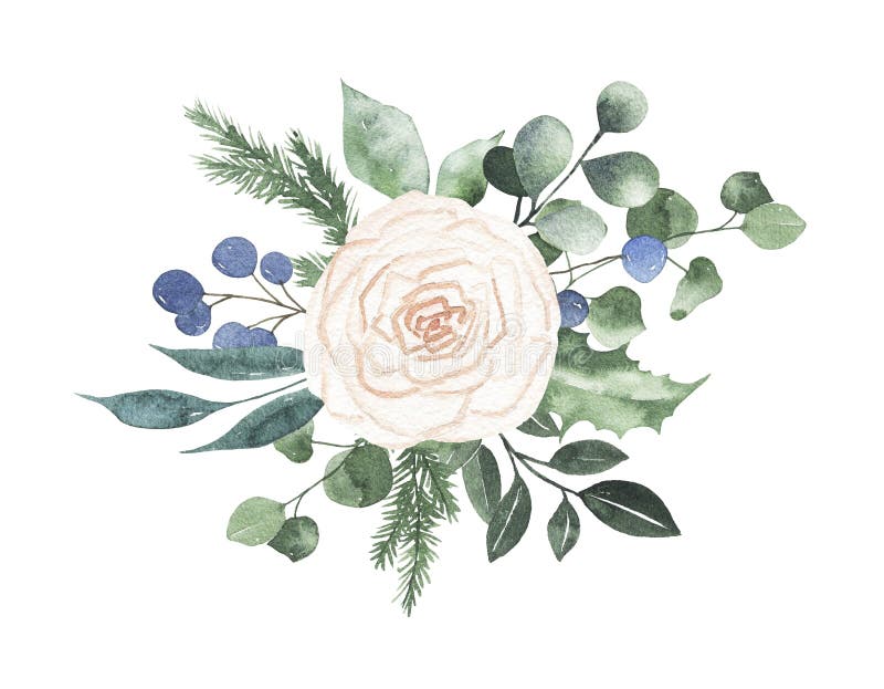 具有玫瑰杉枝莓绿叶的水彩圣诞花束布置库存例证 插画包括有图画 节假日 花瓣 本质 绿色