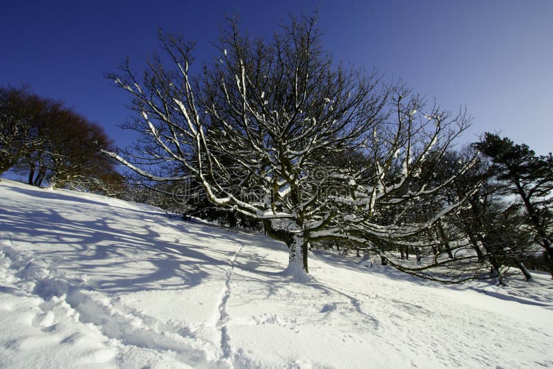 背景模式被风吹雪的表面库存照片 图片包括有背包 偏差 自然 飞机场 加拿大 要素 户外 背景模式被风吹雪的表面库存照片 图片包括有背包 偏差 自然 飞机场 加拿大 要素 户外