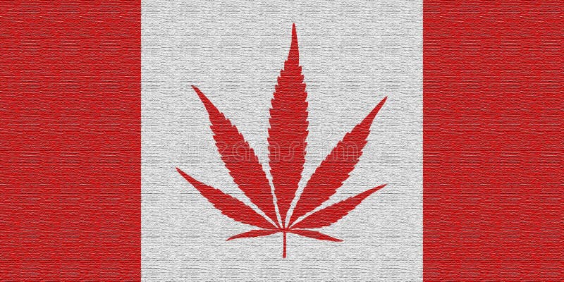 åŠ æ‹¿å¤§å¤§éº»ç