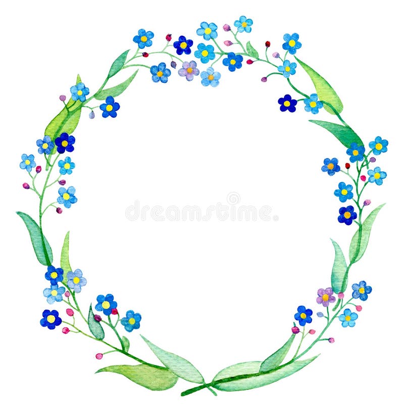 勿忘草花圈水彩例证与瓣和叶子的春天花forgetmenot 库存例证 插画包括有 勿忘草花圈水彩例证与瓣和叶子的春天花forgetmenot 库存例证 插画包括有