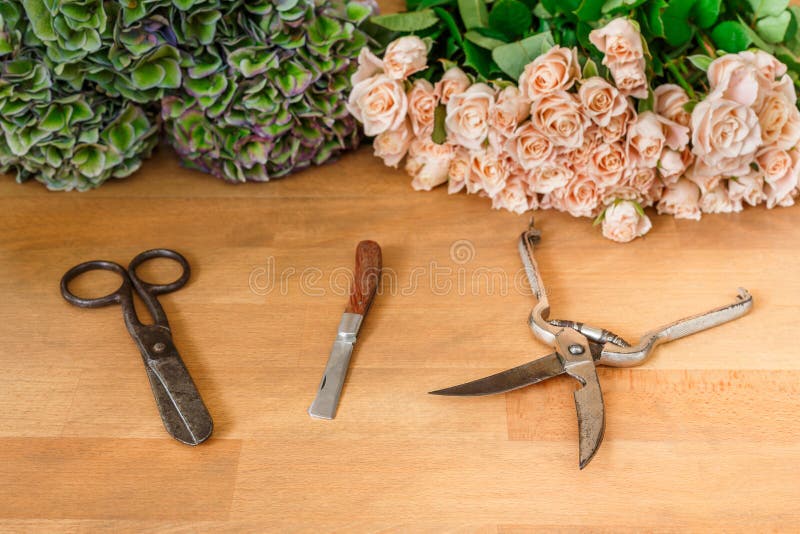 卖花人工作花店交付 玫瑰色花束和工具库存照片 图片包括有市场 制作 工作 设计 剪刀 发运 卖花人工作花店交付 玫瑰色花束和工具库存照片 图片包括有市场 制作 工作 设计 剪刀 发运