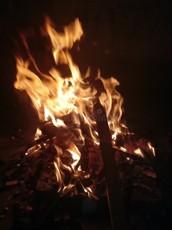印地安节日lohri由闪电木篝火庆祝了库存图片 图片包括有印第安语 自然 篝火 木头 礼节