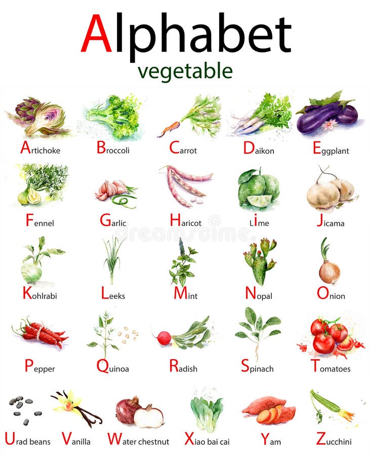可爱蔬菜的水彩英文字母 食品的水色插图 库存例证 插画包括有饮食 英语 教育 海报 新鲜