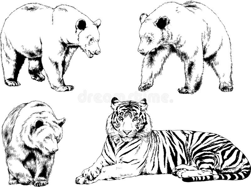 草食动物图库插画 矢量和剪贴画 1 407 图库插画 草食动物图库插画 矢量和剪贴画 1 407 图库插画