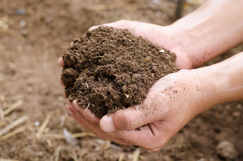 堆肥作为肥料库存图片 图片包括有乡下 培养 堆肥 肥沃 庭院 有机 自然 保护 本质