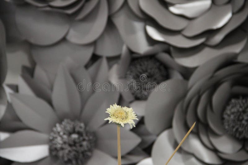 灰色花布什库存图片 图片包括有 灰色花布什库存图片 图片包括有