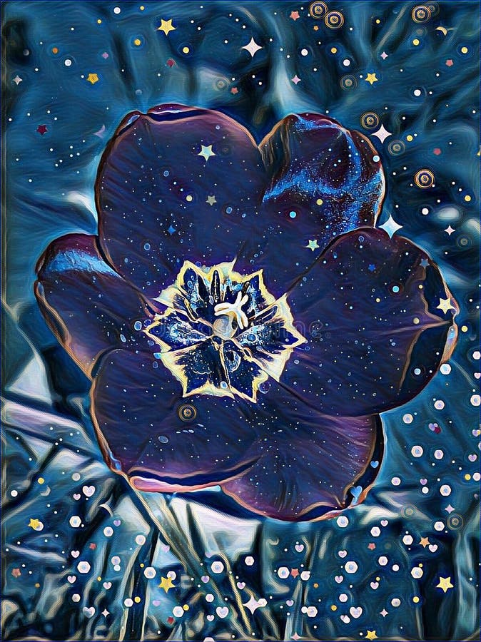 在夜光的夜神奇花库存图片 图片包括有云彩 星形 黎明 结构树 晒裂 晚上 本质 可以 在夜光的夜神奇花库存图片 图片包括有云彩 星形 黎明 结构树 晒裂 晚上 本质 可以