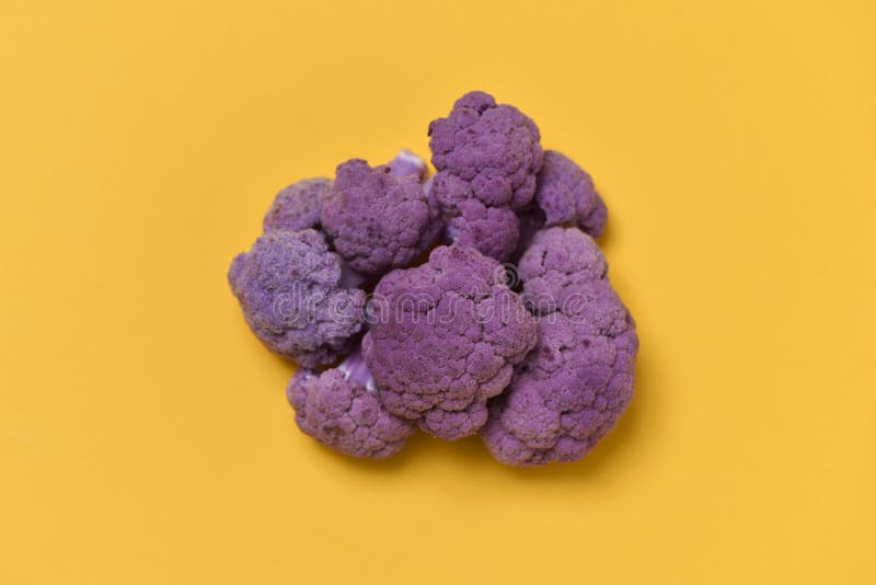 紫色花椰菜库存图片 图片包括有食物 可食 查出 花椰菜 新鲜 饮食 空白 庭院 背包 紫色花椰菜库存图片 图片包括有食物 可食 查出 花椰菜 新鲜 饮食 空白 庭院 背包