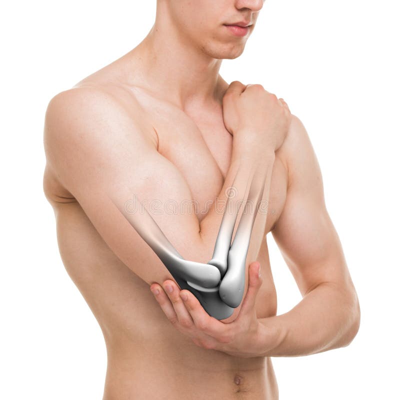 在白的解剖学男性隔绝的肘关节库存图片 图片包括有
