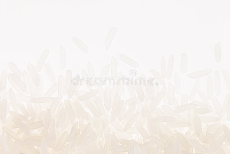 在白色背景的白色茉莉花米特写镜头库存照片 图片包括有 在白色背景的白色茉莉花米特写镜头库存照片 图片包括有