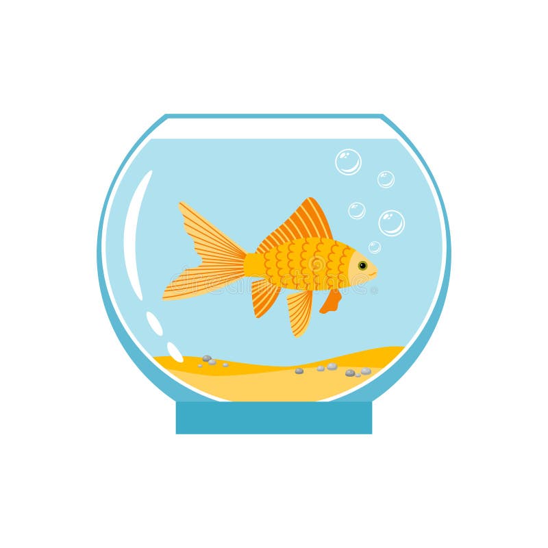 在白色背景隔绝的小碗的金鱼在水水族馆传染媒介例证的橙色金鱼向量例证 插画包括有水族馆 敌意 8581