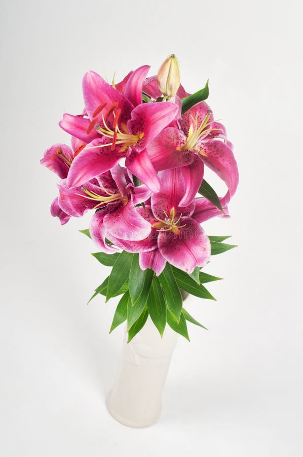 在花瓶的百合花束库存照片 图片包括有浪漫 百合 宏指令 芬芳 脆弱 五颜六色 本质 植物群
