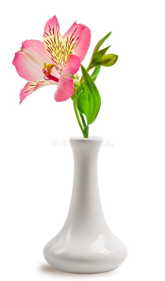 在花瓶的美丽的百合花库存图片 图片包括有庭院 季节性 粉红色 背包 问候 本质 花束 在花瓶的美丽的百合花库存图片 图片包括有庭院 季节性 粉红色 背包 问候 本质 花束