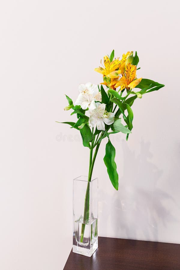 在花瓶的花库存照片 图片包括有 在花瓶的花库存照片 图片包括有