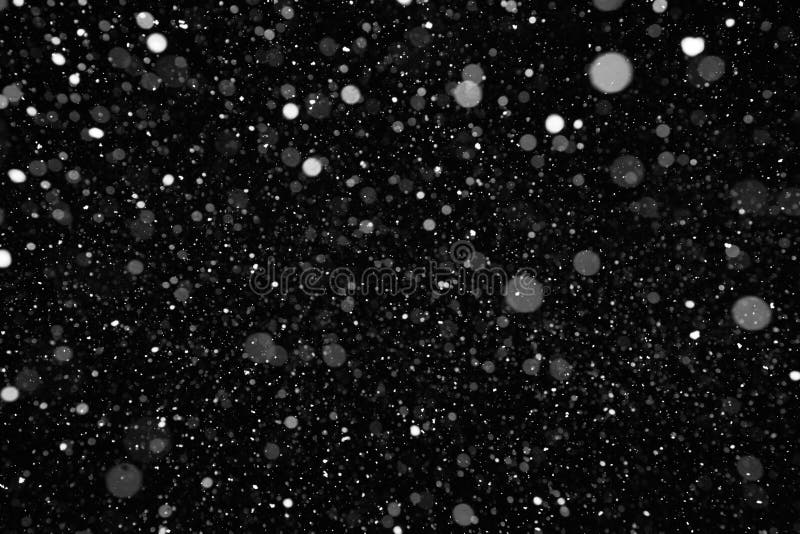 在黑色的真正的落的雪库存图片 图片包括有背包徒步旅行者 抽象 没人 图象 本质 装饰 查出 8161