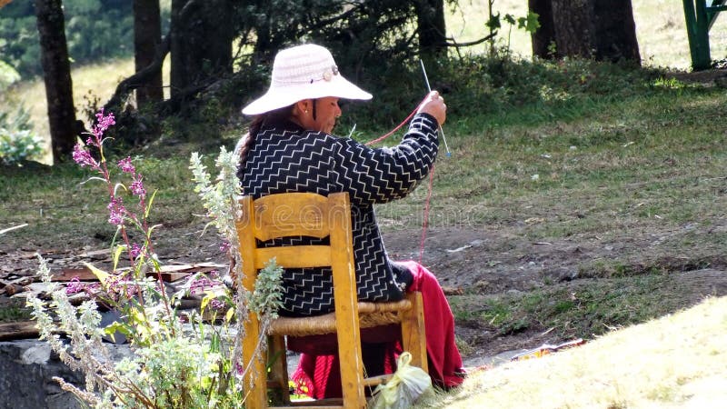 一位墨西哥原住民女子在sierra Chincua帝王蝶保护区正门展示一件针织毛衣图库摄影片 图片包括有室外 墨西哥