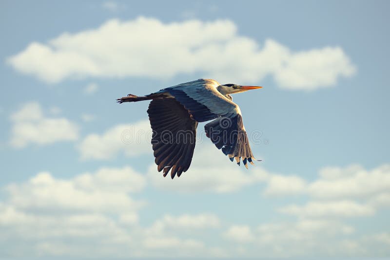 Stefan Holm Stefanholm Photographer Profile