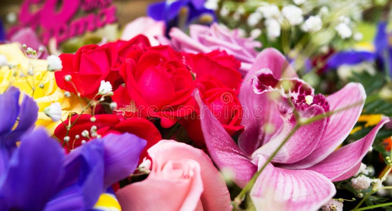 多色的鲜花花束的玫瑰和百合背景壁纸库存图片 图片包括有特写镜头 照亮 存在 花卉 花束 多色的鲜花花束的玫瑰和百合背景壁纸库存图片 图片包括有特写镜头 照亮 存在 花卉 花束