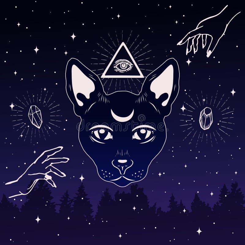 夜空前额月的魔猫脸共声眼向量例证 插画包括有月牙 现有量 礼节 魔术 晚上 剪影 分级显示