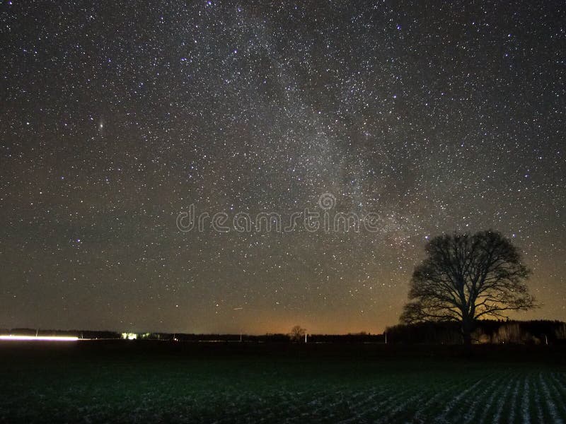夜空星星银河与树夜景库存照片 图片包括有极光 猎户星座 详细资料 设置 观察 星形 重婚 夜空星星银河与树夜景库存照片 图片包括有极光 猎户星座 详细资料 设置 观察 星形 重婚