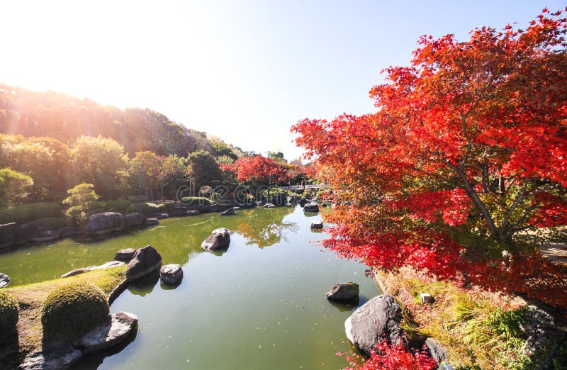 大山公园秋库存照片 图片包括有城堡 绿色 蓝色 公园 观光 场面 槭树 工厂 春天 大山公园秋库存照片 图片包括有城堡 绿色 蓝色 公园 观光 场面 槭树 工厂 春天