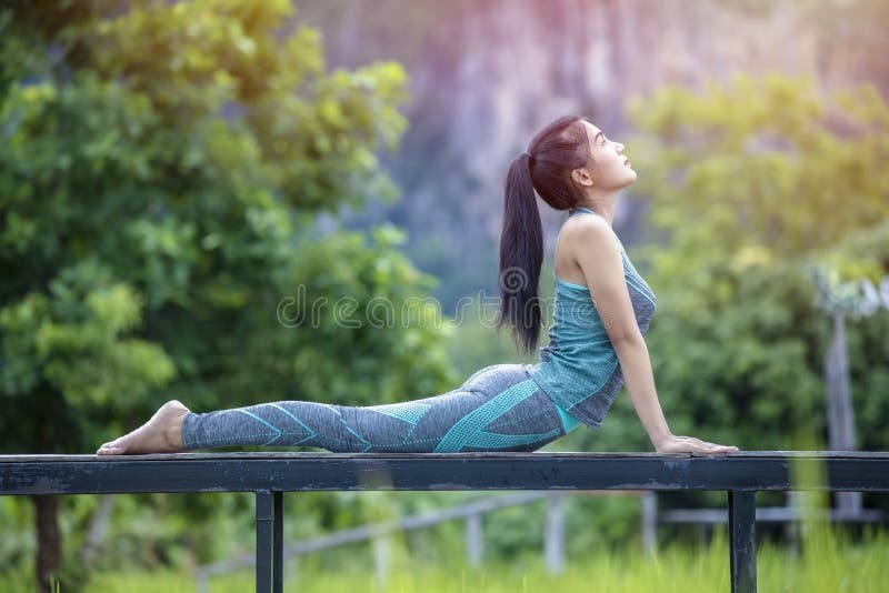 湖边多年生枯树的自然背景库存图片 图片包括有自然 尘土 地球 停止 反映 沙漠 环境 湖边多年生枯树的自然背景库存图片 图片包括有自然 尘土 地球 停止 反映 沙漠 环境